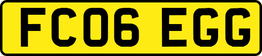FC06EGG