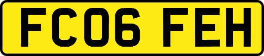 FC06FEH