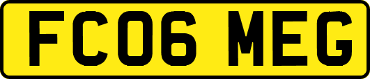 FC06MEG