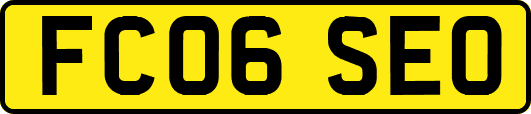 FC06SEO