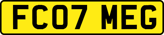 FC07MEG