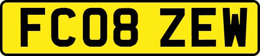 FC08ZEW