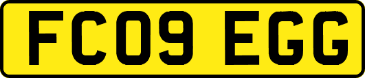 FC09EGG