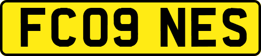 FC09NES