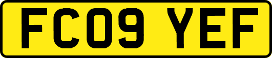 FC09YEF