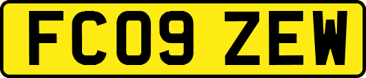 FC09ZEW