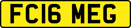 FC16MEG