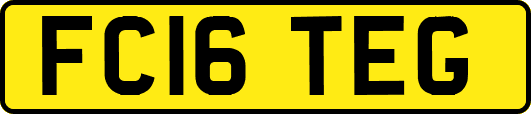 FC16TEG
