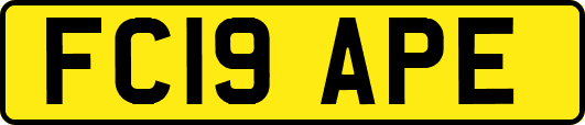 FC19APE