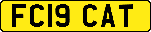 FC19CAT