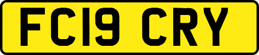 FC19CRY