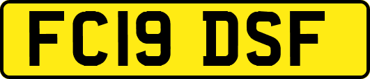 FC19DSF