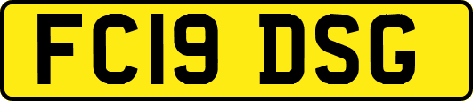 FC19DSG