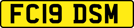 FC19DSM