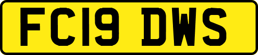 FC19DWS