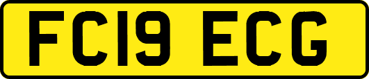 FC19ECG