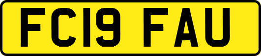 FC19FAU