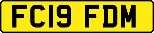 FC19FDM