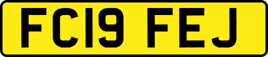 FC19FEJ