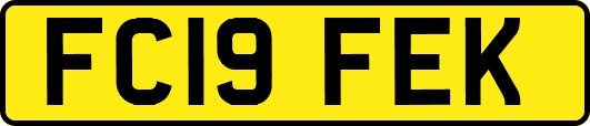 FC19FEK