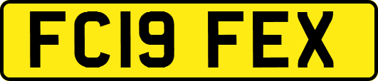 FC19FEX