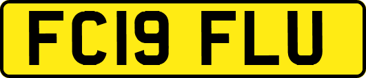 FC19FLU