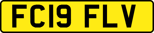 FC19FLV