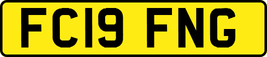 FC19FNG