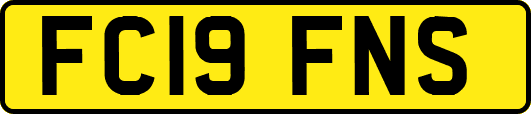 FC19FNS