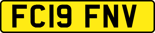 FC19FNV