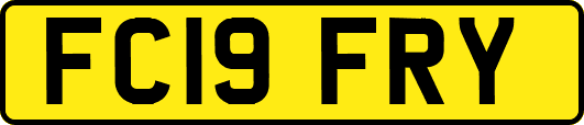 FC19FRY
