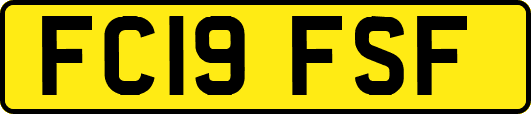 FC19FSF