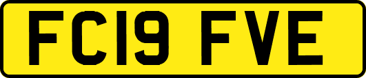 FC19FVE