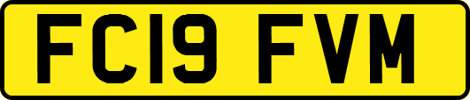 FC19FVM