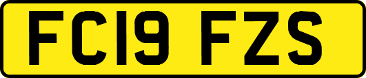 FC19FZS