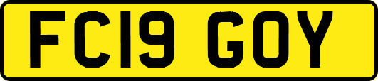 FC19GOY