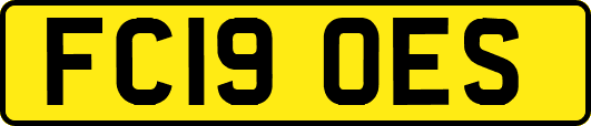 FC19OES