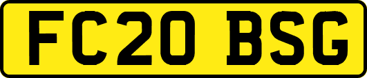 FC20BSG
