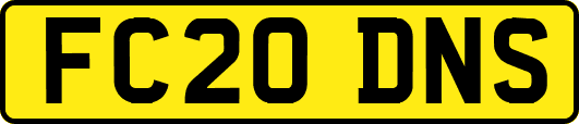 FC20DNS