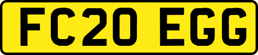FC20EGG