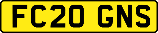 FC20GNS
