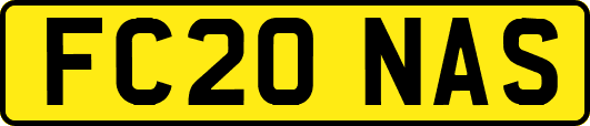 FC20NAS