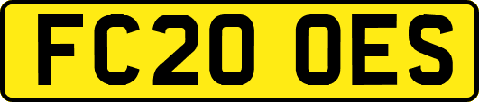 FC20OES
