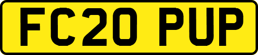 FC20PUP