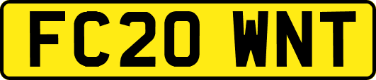 FC20WNT