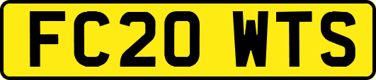 FC20WTS