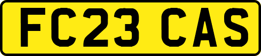 FC23CAS