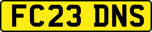 FC23DNS