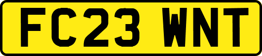 FC23WNT