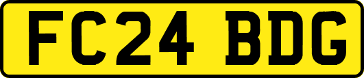 FC24BDG